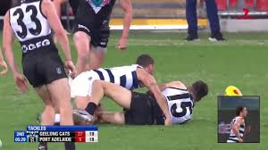 Evolution, inuyasha and fullmetal alchemist. Geelong V Port Adelaide The Big Mongrel Questions The Mongrel Punt