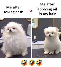 How To Start A Blog For Beginners Step By Step Guide Funny Friend Memes Funny Cartoon Memes Cute Funny Quotes