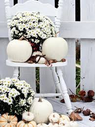 We did not find results for: 10 Easy Essentials For Outdoor Fall Decorating Diy