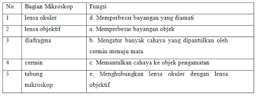 Soal pas ipa kelas 7. Pembahasan Latihan Pas Ipa Kelas 7 Smp Mts Semester Ganjil Ahzaa Net