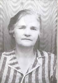 Genealogy of Nellie Walker Inman