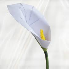 Origami Calla Lily Flower Alcatraces Papiroflexia Flores De Papel