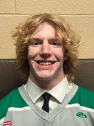 Southwest Michigan Blades