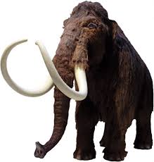 6 Animals We Ate Into Extinction Britannica