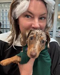 Getting highlighting tips from Walter 😍🌭 Ugh my heart, weenies are the  bestest! Dognapping is totally legal, right @dawntraceyhair?!