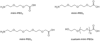 To do this, we used two strategies. Pegylated Peptides Cpc Scientific