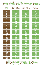 Dog Age Chart By Breed Goldenacresdogs Com