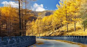 Muat turun imej musim luruh cantik lanskap latar belakang di atas dan gunakannya sebagai kertas dinding poster dan reka bentuk vektor mekar untuk perayaan musim luruh cina dan pertengahan. Pemandangan Musim Luruh Taman Negara Sumushan Mongolia Dalam Gambar Unduh Gratis Imej 501596935 Format Jpg My Lovepik Com