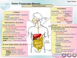 Sains tingkatan 5 bab 3 kelestarian alam sekitar part1. Bab 2 Nutrisi