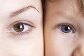According to the laws of genetics babies eye color is. Fascinating Facts About Infant Eye Color Lovetoknow