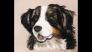Kein problem, im folgenden beitrag findest du 40 ideen zum zeichnen, spannende motive und allerhand inspirationen für dein kunstprojekt. Tiere Zeichnen Lernen Raubkatzen Mal Einfach Mit