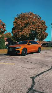 Image result for Dragon Orange 2022 SQ8