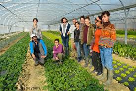 Le Maraichage Tremplin Vers Un Nouveau Depart Le Trait D Union Paysan