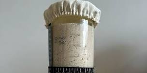 Sourdough Starter & Fermentation Fundamentals