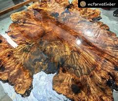 Monster Burl Slab By M C Farms Purchased From Berkshire Products Maple Burl Beautiful Wood Burl