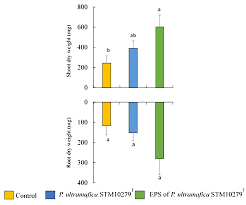 Image result for Tetraria