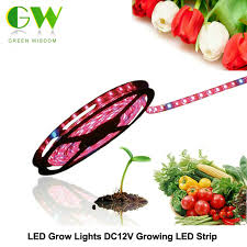 Maybe you would like to learn more about one of these? Led Grow Lights Dc12v Growing Led Strip 5050 Ip20 Ip65 Ip68 Plant Growth Light For Greenhouse Hydroponic Plant 5m Lot From China Manufacturer Manufactory Factory And Supplier On Ecvv Com