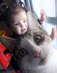 30 Hilariously Cute Cat Photobombs That Will Be Yours Todays Dose Of Fun Bemethis Funny Animals Funny Animal Pictures Silly Animals