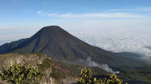 … by broderick stoltenberg may 23, 2021 post a comment. Tn Gunung Gede Pangrango Tiket Aktivitas Juni 2021 Travelspromo