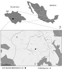 Tlaxcala (tlaxcala de xicohtencatl) , mexico on map. Map Of The Studied Area Of San Mateo Huexoyucan Tlaxcala Mexico Download Scientific Diagram