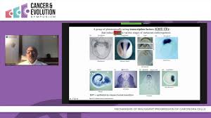 All appointments are based on merit. Robert A Weinberg Mit Department Of Biology