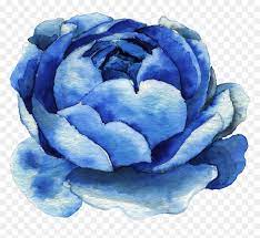 We've included some watercolor tips, but feel free to personalize the designs with your own style. Blue Rose Clipart Watercolor Free Watercolor Flower Clipart Blue Hd Png Download Vhv