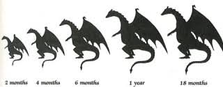 Dragon Growth And Activity
