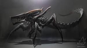 Warrior Bug Xenomorph Hybrid Starship Troopers And Alien Movies Fanart Xenomorph Alien Concept Art Starship Troopers Bugs