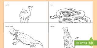 Mar 22, 2021 · desert animals coloring pages is an extension of desert animals preschool activities and crafts theme. Desert Animals Coloring Sheets Classroom Resource Twinkl