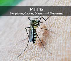 Check spelling or type a new query. Malaria Symptoms Causes Diagnosis Treatment