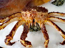 Maybe you would like to learn more about one of these? King Crab Granchio Reale 24fish