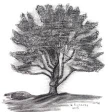 What's the best way to draw a tree? Daily Art Ticklehead Page 2