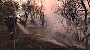 Φωτιά τώρα στην νότια εύβοια. Fwtia Sthn Eyboia Den Yparxoyn Pleon Energa Metwpa