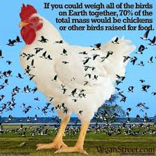 Vegan Street On Instagram One Way To Measure The Phenomenal Impact That Eating Animals Has On Our Planet Is To Compare The Anim Animals Our Planet Wild Birds