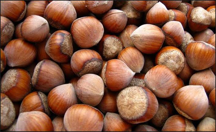 fındık ile ilgili görsel sonucu"