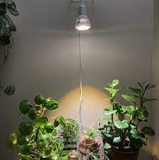 Best Grow Lights Reviewed By Succulent Lovers Grow Lights For Plants Grow Light Bulbs Best Grow Lights