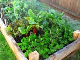 Maybe you would like to learn more about one of these? Your Vegetable Gardening Helper