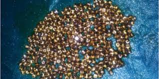 Hanya sejumlah kecil cairan ini yang mengalir ke usus halus.saat anda makan, makanan yang kemudian masuk ke duodenum atau bagian awal dari usus halus, akan. 8 Fungsi Cairan Empedu Di Sistem Pencernaan Bantu Menyerap Nutrisi Salah Satunya Merdeka Com