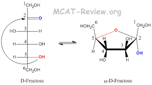 What Are Reducing Sugars? – Master Organic Chemistry
