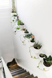 Ver más ideas sobre decoracion plantas, plantas, decoración de unas. Como Decorar La Pared De Una Escalera Decoracion Plantas Plantas De Interior Decoracion Vegetal