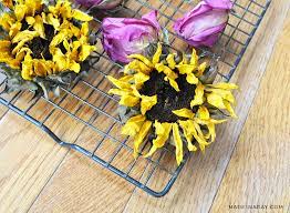 Orange & yellow flowers dry with the most vibrancy with each stem, gently shake out the drying agent or with a paintbrush, gently brush the flower clean. Effortless Oven Dried Flowers For Crafts