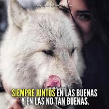 Pin En Lobos