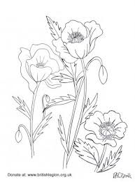 A truly authentic and quintessentially british gin, the recipe comes alive with silver birch, dandelion, burdock and elderberry. Droitwich Artist S Colour In Pictures For People To Show Their Remembrance Support The Droitwich Standard