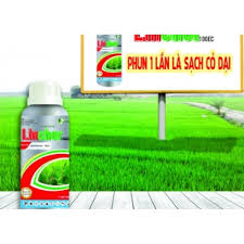 Linchor 100EC