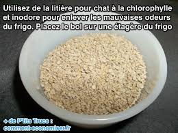 10 Astuces Qui Marchent Pour Supprimer Les Mauvaises Odeurs Du Frigo Mauvaise Odeur Odeur Frigo Frigo