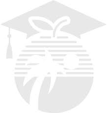 Https Flauditor Gov Pages Dsb Efile 20rpts 2017 20broward 20county 20district 20school 20board Pdf