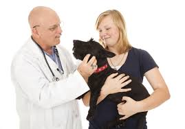 Find updated content daily for local pet veterinarians Scott Veterinary Clinic Brantford Ontario