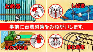 Maybe you would like to learn more about one of these? æ²–ç¸„é›»åŠ› å°é¢¨å¯¾ç­–cm ç¥žã€…ã®é¡˜ã„ Facebook