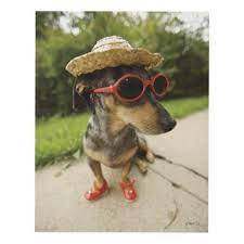 Funny Summer Dachshund With Hat Amp Glasses Panel Wall Art Dachshund Love Dachshund Dachshund Puppies