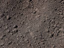 Check spelling or type a new query. Perawatan Melon Di Jalur Tengah Bagaimana Cara Menanam Bibit Melon Di Luar Ruangan Dengan Benar Fitur Irigasi Tetes